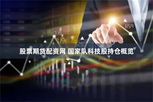 股票期货配资网 国家队科技股持仓概览