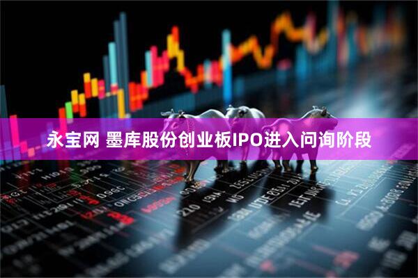 永宝网 墨库股份创业板IPO进入问询阶段