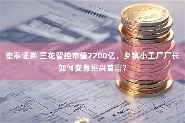 宏泰证券 三花智控市值2200亿，乡镇小工厂厂长如何变身绍兴首富？