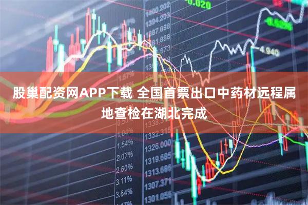 股巢配资网APP下载 全国首票出口中药材远程属地查检在湖北完成