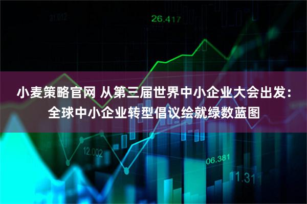 小麦策略官网 从第三届世界中小企业大会出发：全球中小企业转型倡议绘就绿数蓝图