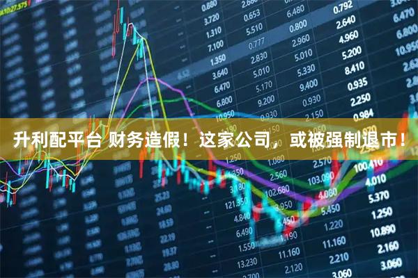 升利配平台 财务造假！这家公司，或被强制退市！