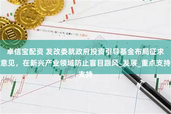 卓信宝配资 发改委就政府投资引导基金布局征求意见，在新兴产业领域防止盲目跟风_发展_重点支持