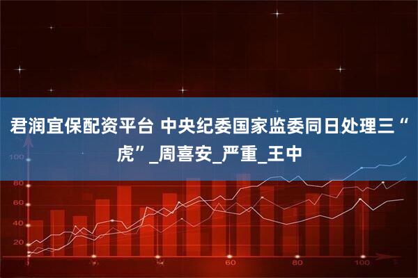 君润宜保配资平台 中央纪委国家监委同日处理三“虎”_周喜安_严重_王中