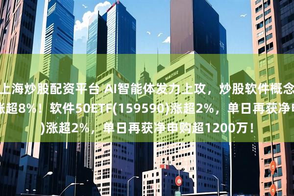上海炒股配资平台 AI智能体发力上攻,炒股软件概念活跃,同花顺涨超8%!软件50ETF(159590)涨超2%,单日再获净申购超1200万!