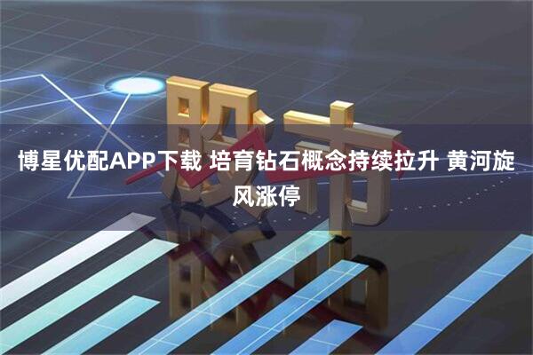 博星优配APP下载 培育钻石概念持续拉升 黄河旋风涨停